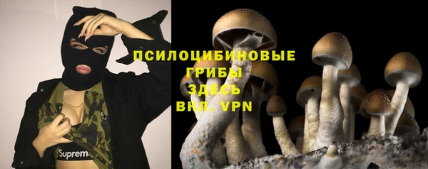 сатива Володарск