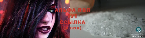 сатива Володарск