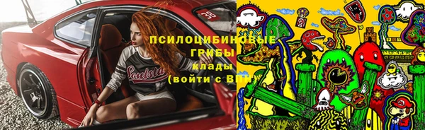сатива Володарск