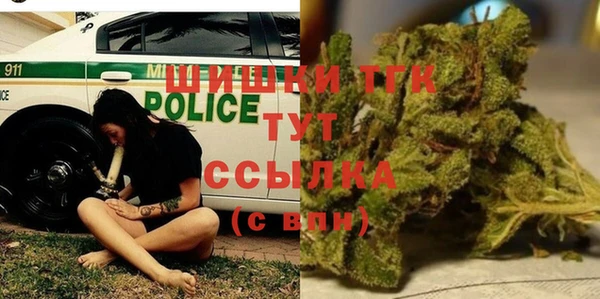 сатива Володарск