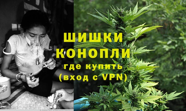 сатива Володарск