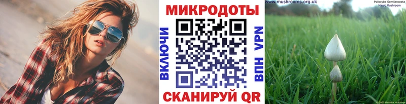 Псилоцибиновые грибы прущие грибы  мориарти состав  Балаково 